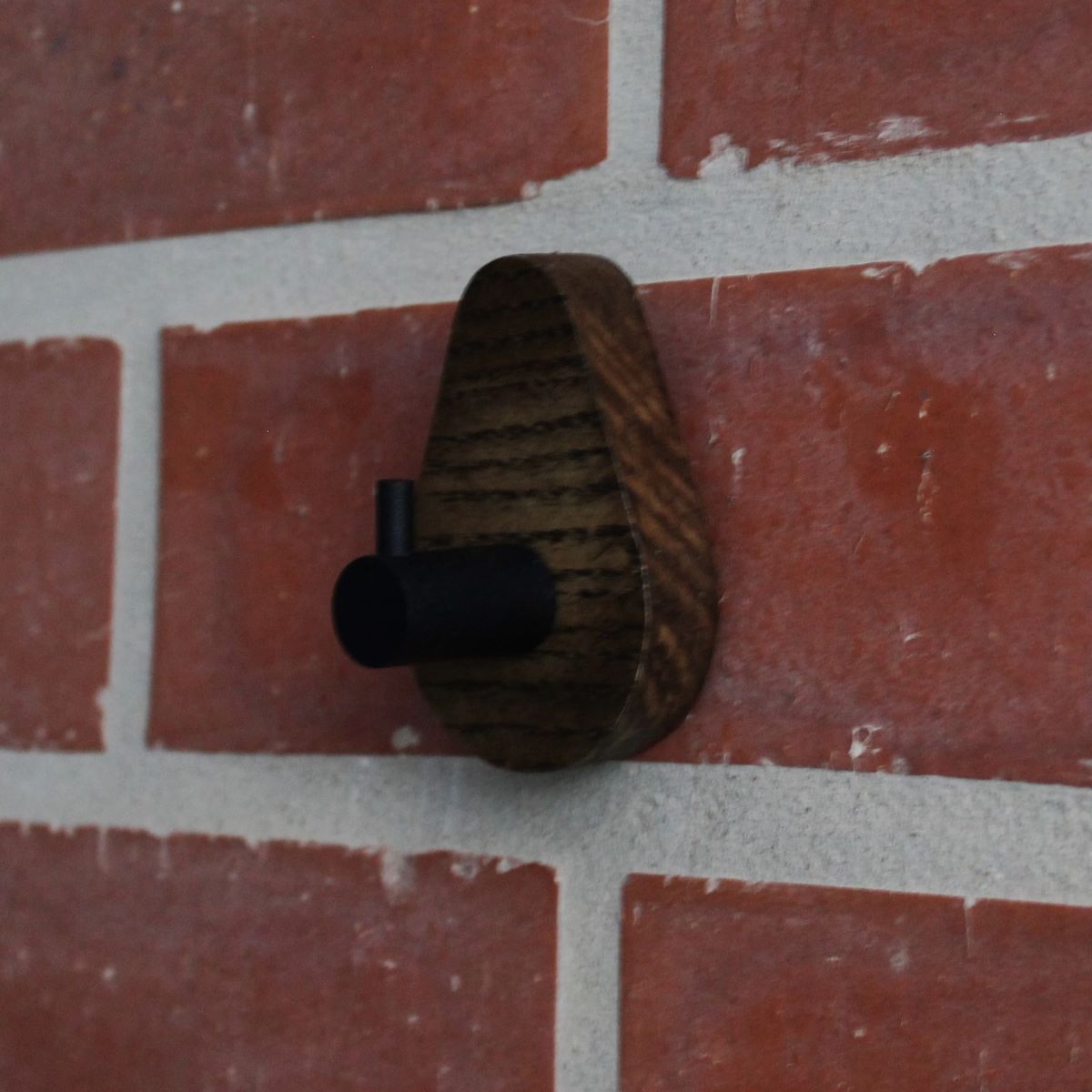 Studio Ash Wood Wall Hook Set of 2 in Coffee and Black Steel - Image 2
