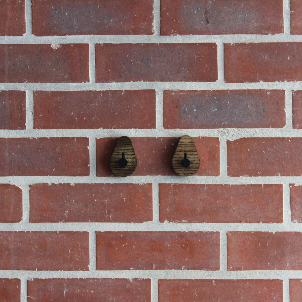 Studio Ash Wood Wall Hook Set of 2 in Coffee and Black Steel